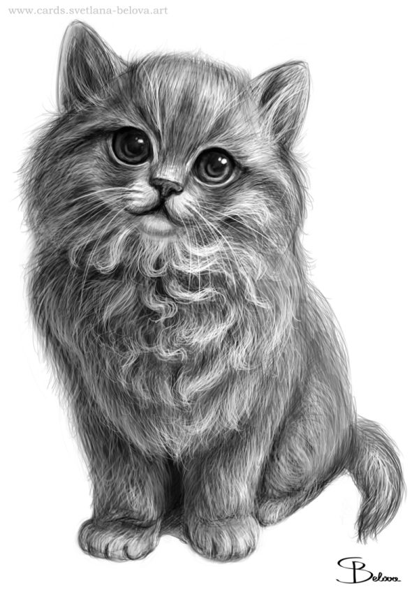 Иллюстрация милый котик